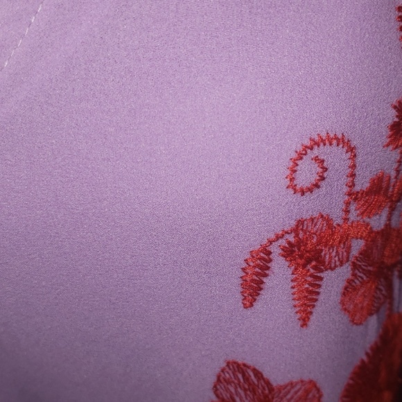 Entro Embroidered Dress New without tags - Picture 6 of 6